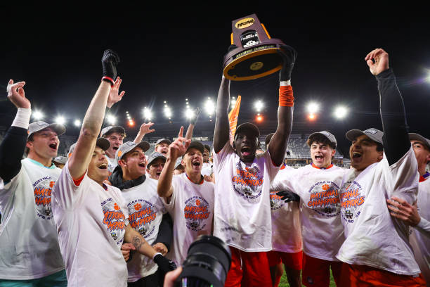 你打我噻 你打我噻